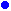 bullet2.gif (841 bytes)